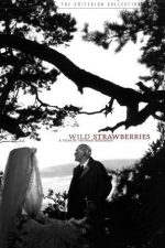 Yaban Çilekleri; Filmin orijinal adı: Smultronstället