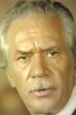 Abdurrahman Palay; Türk oyuncu, seslendirme sanatçısı, senarist, yönetmen