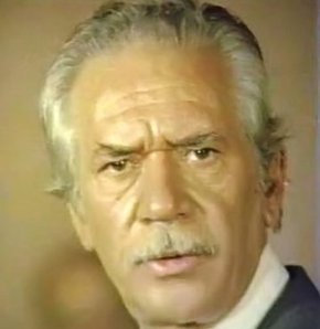 Abdurrahman Palay; Türk oyuncu, seslendirme sanatçısı, senarist, yönetmen