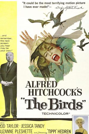 Kuşlar; Filmin orijinal adı: The Birds