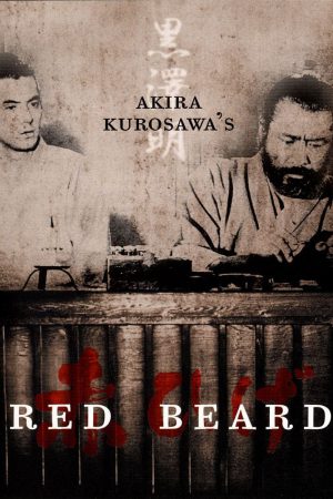Kızıl Sakal; Filmin orijinal adı: Red Beard