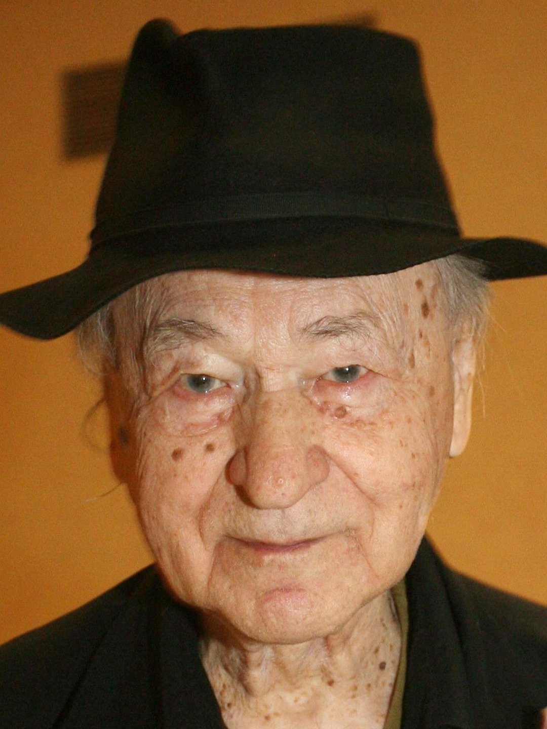 Jonas Mekas; Semeniškiai, Litvanya doğumlu Litvanyalışair kurgucu, oyuncu, yönetmen
