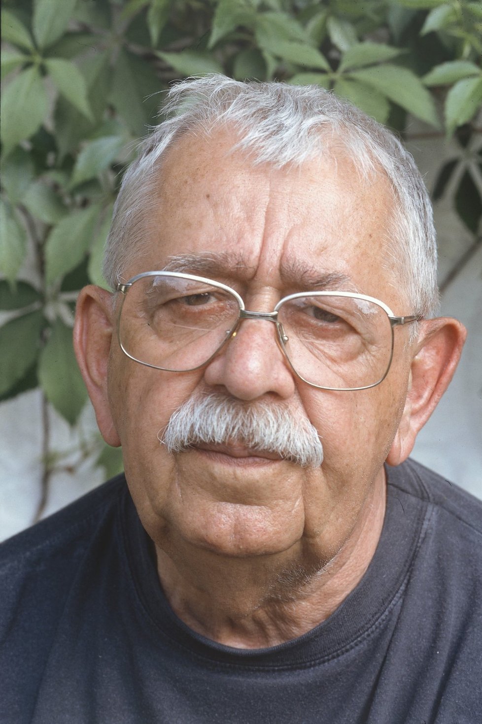 Vlastimil Brodsky; Hrušov, Ostrava, Çekya doğumlu Çek oyuncu