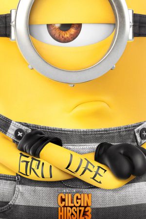 Çılgın Hırsız 3