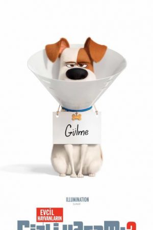 Evcil Hayvanların Gizli Yaşamı 2; Filmin orijinal adı: The Secret Life of Pets 2