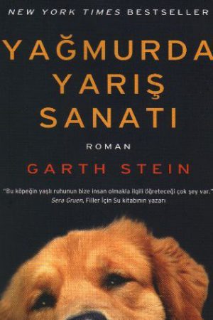 Enzo: Yağmurda Yarış Sanatı; Filmin orijinal adı: The Art of Racing in the Rain