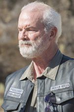 Michael Shamus Wiles; Amerikalı oyuncu