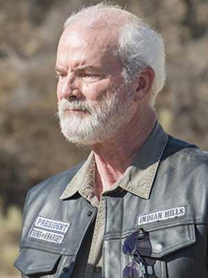 Michael Shamus Wiles; Amerikalı oyuncu