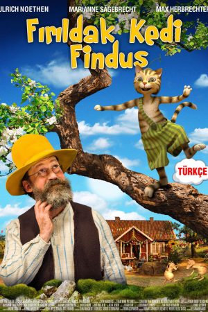 Fırıldak Kedi Findus