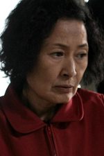 Kim Hye-Ja; Güney Koreli oyuncu