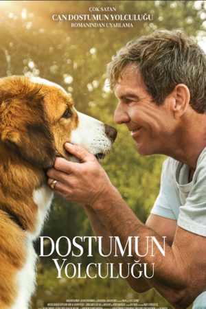 Dostumun Yolculuğu; Filmin orijinal adı: A Dog's Journey