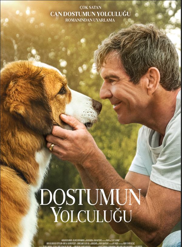 Dostumun Yolculuğu; Filmin orijinal adı: A Dog's Journey