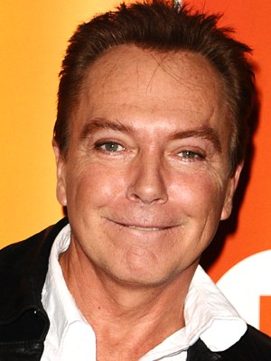 David Cassidy; oyuncu, yaratıcı