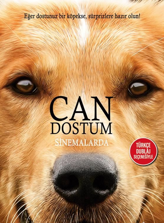 Can Dostum; Filmin orijinal adı: A Dog's Purpose