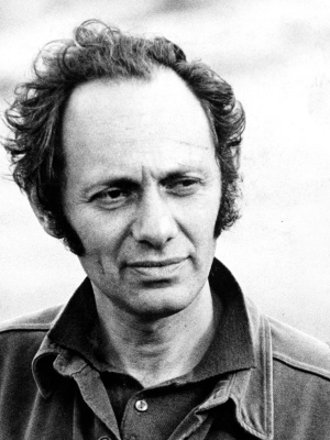 Murray Lerner; Amerikalı görüntü yönetmeni, yapımcı, yönetmen