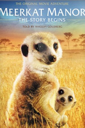 Meerkat Manor: The Story Begins