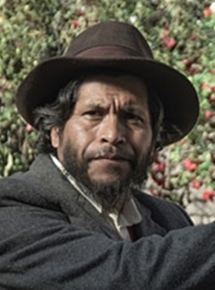 Amiel Cayo; Perulu oyuncu