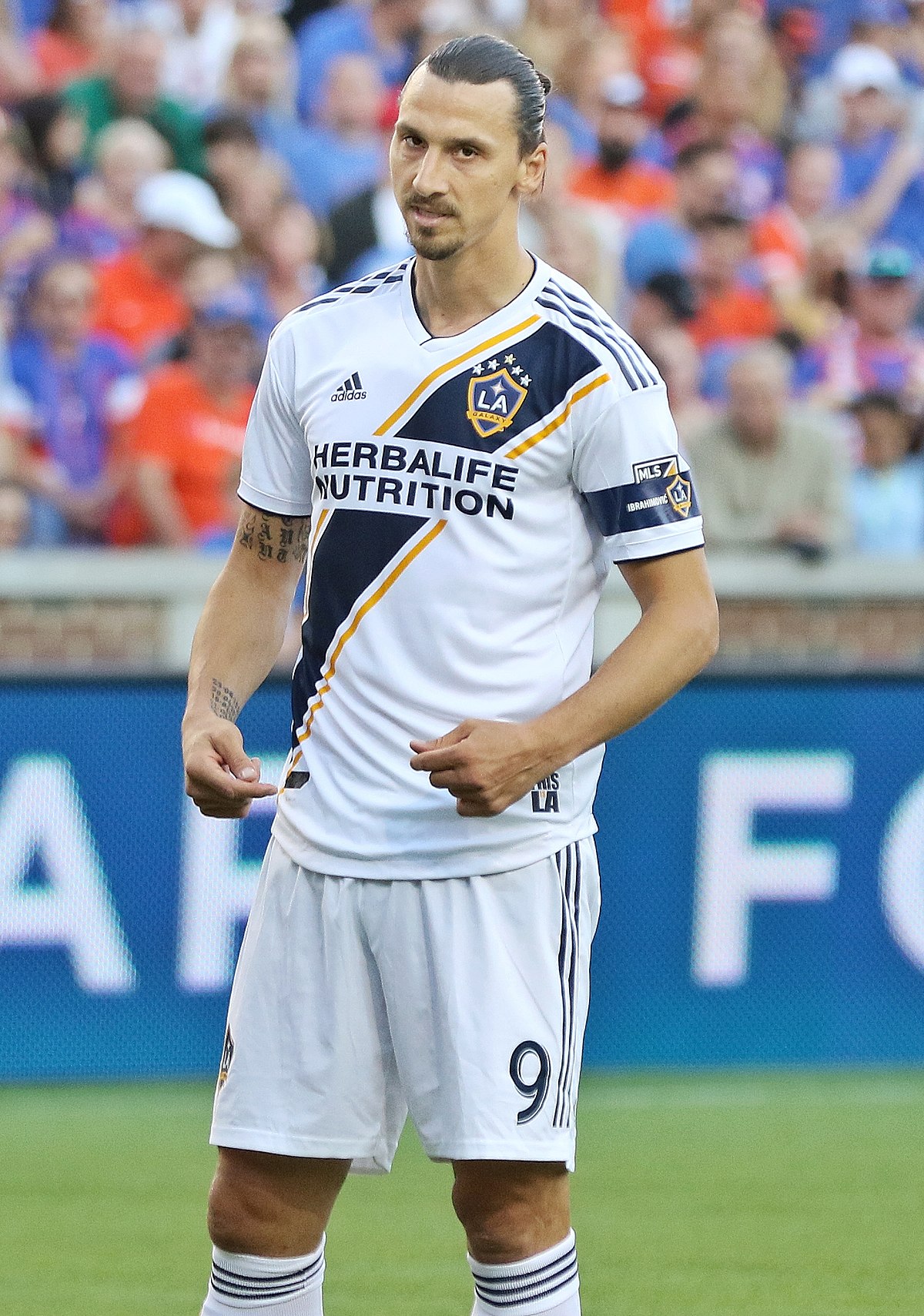 Zlatan Ibrahimovic; Malmö,İsveç doğumlu İsveçlisporcu, futbolcuoyuncu