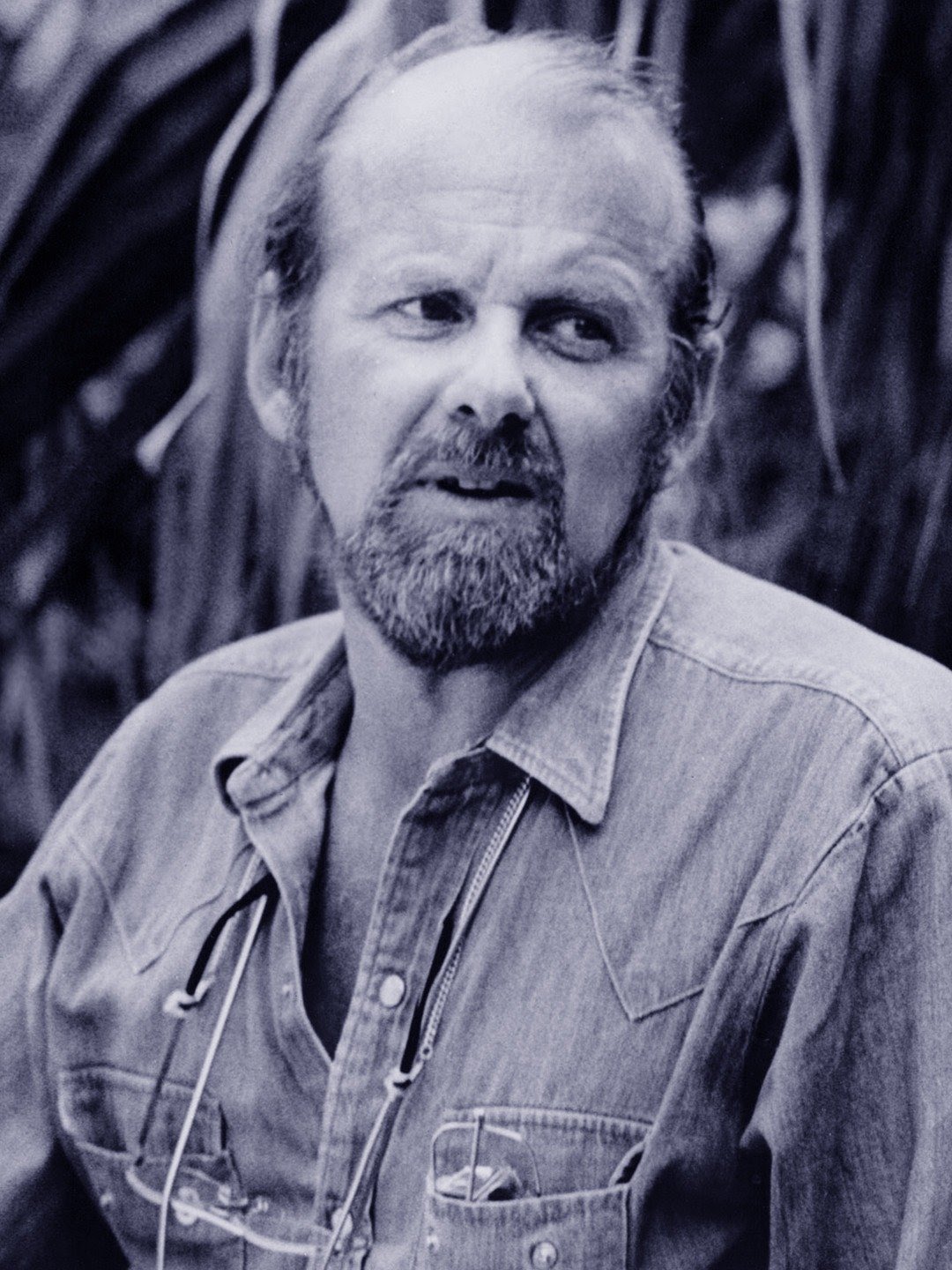 Bob Fosse; müzikal tiyatro yönetmeni, koreografı ve film yönetmeni