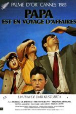 Babam İş Gezisinde filmi, 1985 yapımı, film posteri