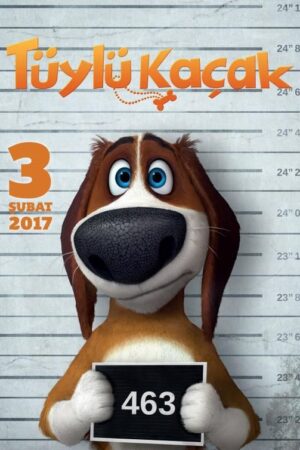 Tüylü Kaçak, film afişi