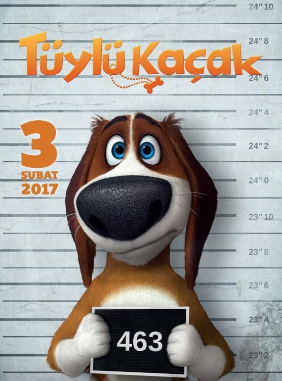 Tüylü Kaçak, film afişi