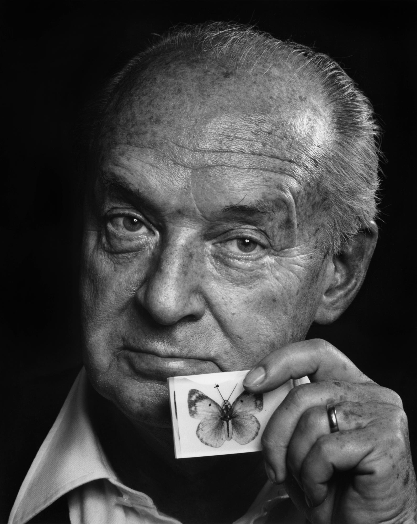 Vladimir Nabokov; Rus, yazar