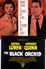 Vahşi Çiçek, 1959, Film Posteri