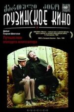 Genç Bir Bestecinin Yolculuğu, 1985, Film Posteri